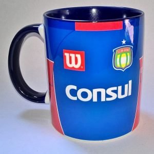 As canecas de camisas de futebol custam R$ 36,30, mais frete (Foto: Divulgação)