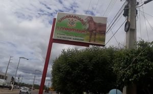 A placa conta até com escudo do Timão (Foto: Rayane Xavier da Franca/Divulgação)