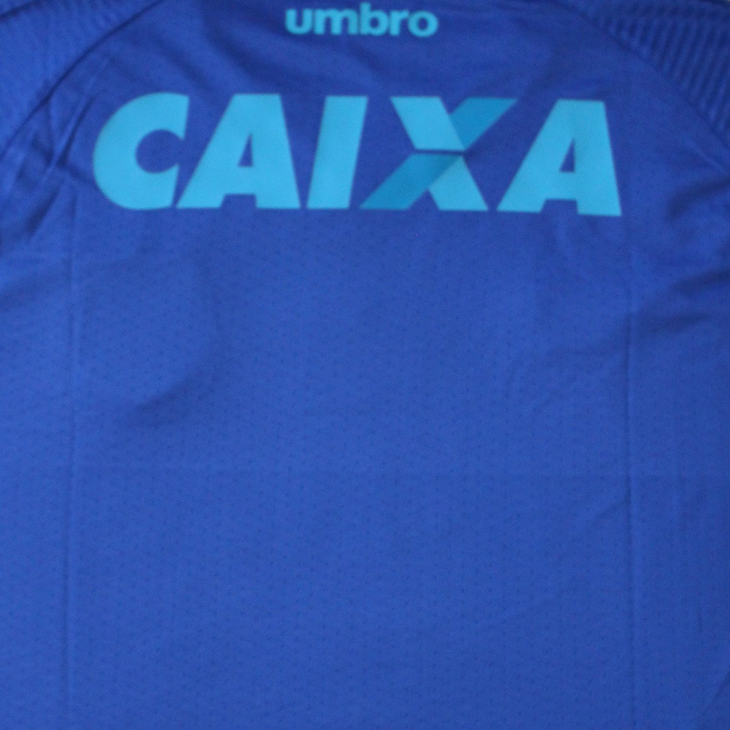 Avaí 2017
