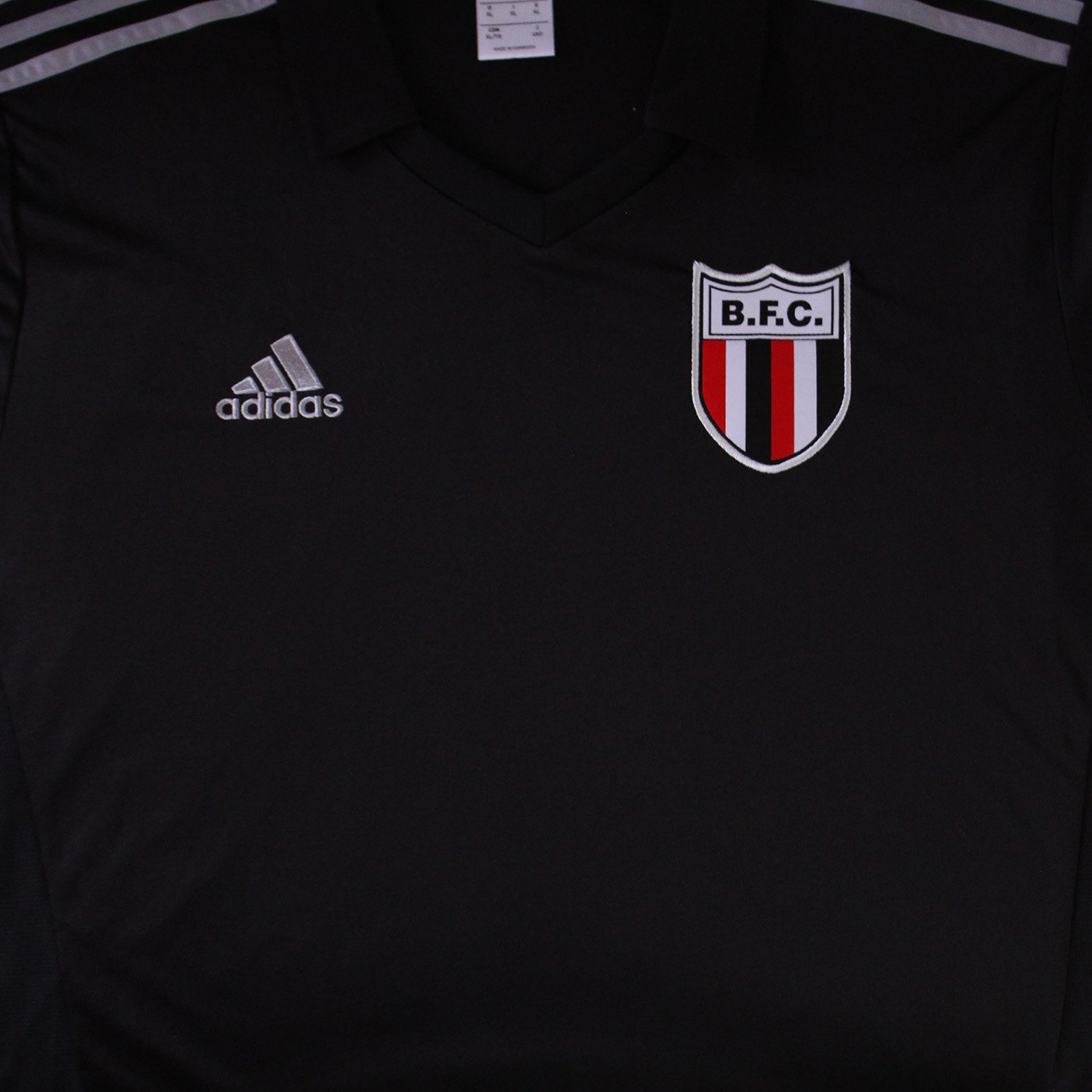 Botafogo-SP 2015