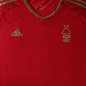 Nottingham Forest 2015-16