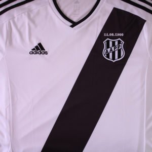 Ponte Preta 2016