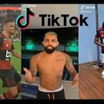 O TikTok, rede social de vídeos curtos, virou sucesso no Brasil nos últimos meses (Foto: Reprodução)