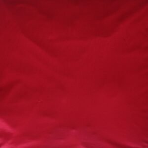 Bayern de Munique 1993-95
