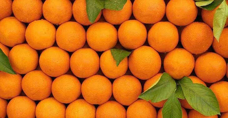 Um país empresta o nome à laranja em diversos idiomas. E não é a Holanda