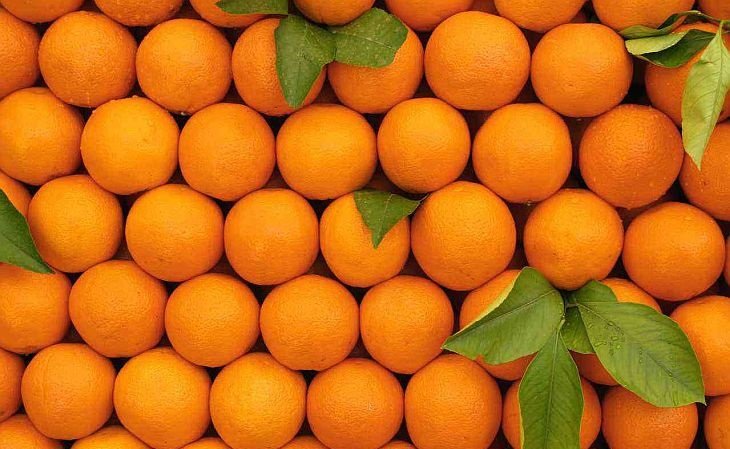 Saiba por que Portugal é o nome da fruta laranja em muitas línguas (Foto: Reprodução)