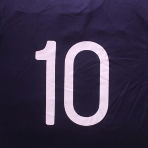 Remo 2013
