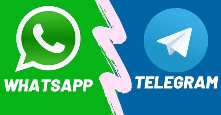 Receba as matérias do Verminosos por Futebol no Whatsapp e no Telegram