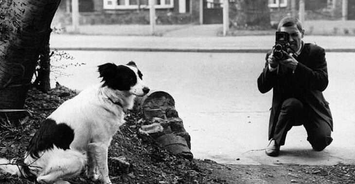Pickles: O cachorro que encontrou a taça roubada na Copa do Mundo de 1966