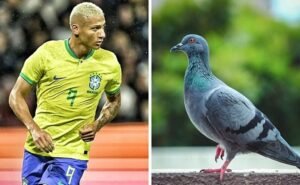 Richarlison fez a alegria MC Faísca e os Perseguidores (Foto: Fifa)