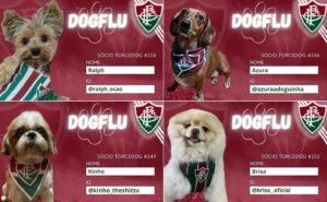 No momento desta entrevista, já eram 250 torcedogs com carteirinhas (Foto: Divulgação)