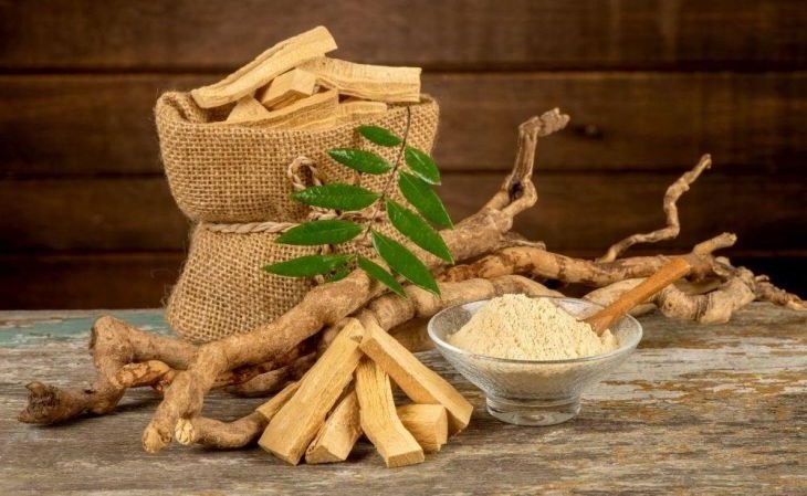 Entre os suplementos mais valiosos está o Tongkat Ali, uma planta asiática (Foto: Reprodução)