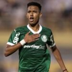 O Palmeiras é um dos quatro clubes brasileiros na Copa do Mundo (Foto: Cesar Greco/Palmeiras)