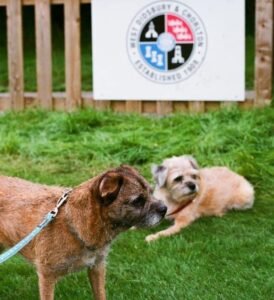 Sid se aposentou dos estádios, enquanto Lou já faleceu (Foto: Acervo pessoal)