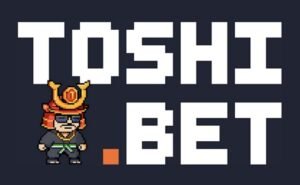 Toshi.bet is ideal for privacy-focused players who want fast, rewarding gameplay (Foto: Reprodução)